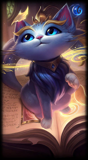 了运动员的 了运动员的