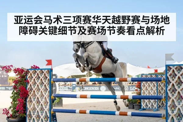 亚运会马术三项赛华天越野赛与场地障碍关键细节及赛场节奏看点解析