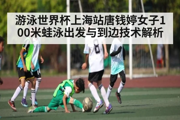 游泳世界杯上海站唐钱婷女子100米蛙泳出发与到边技术解析